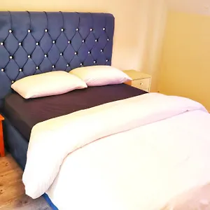 Deluxe Dwelling - 15 Mins From City/airport Irlanda