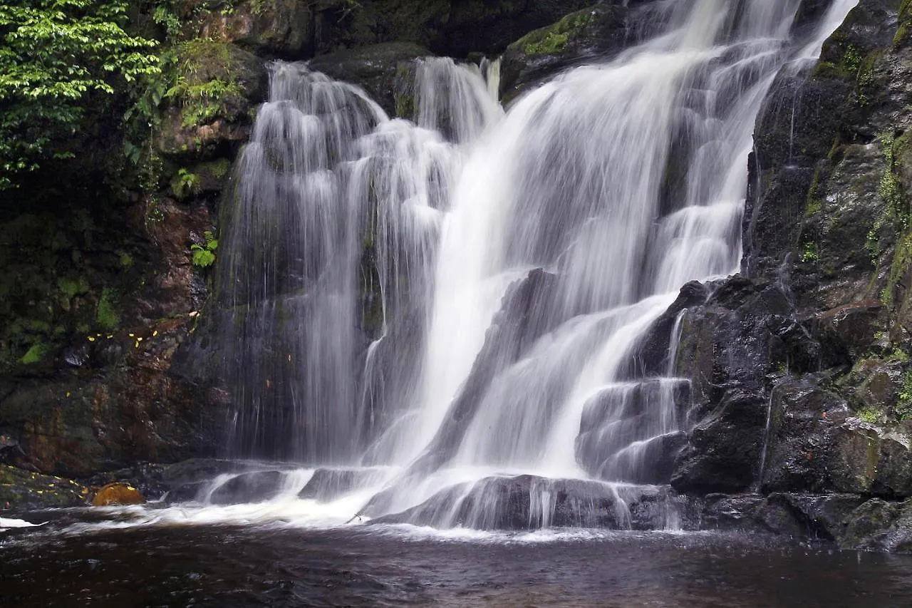 *****  ホテル The Killarney Park アイルランド